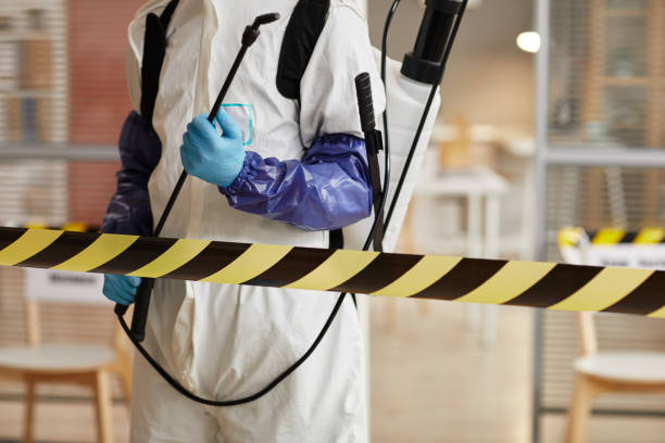 Professional Biohazard technician working in Petersburg, MI